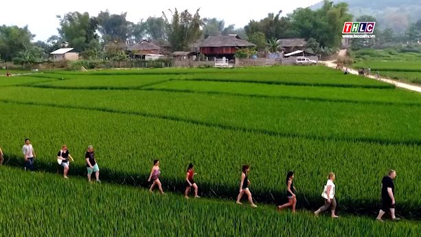 Hop nhat Lao Cai