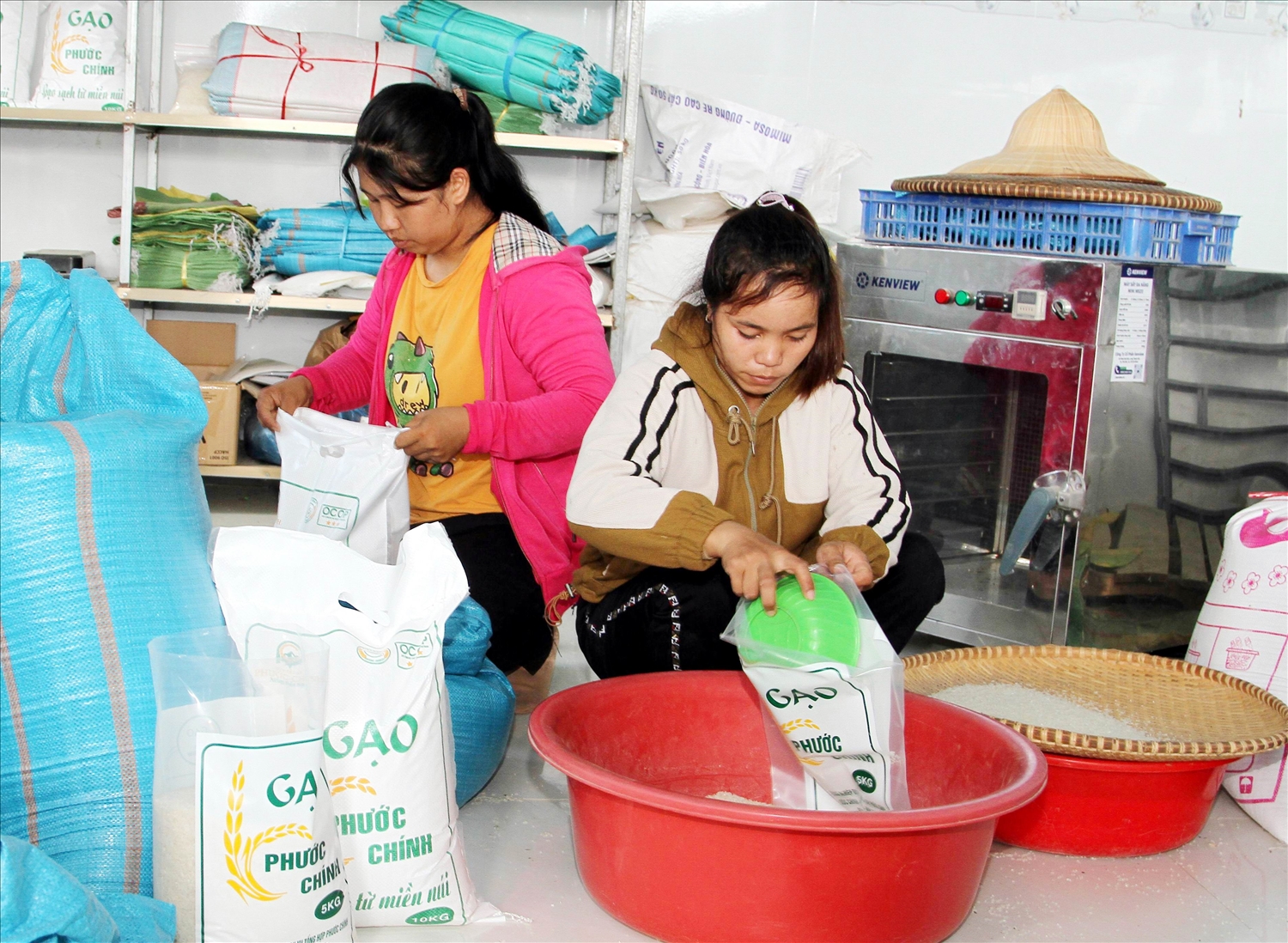 Mô hình kinh tế tập thể vùng đồng bào DTTS hoạt động hiệu quả 2 Lao động HTX DVNN tổng hợp Phước Chính đóng gói gạo đạt tiêu chuẩn OCOP cung cấp thị trường trong và ngoài tỉnh