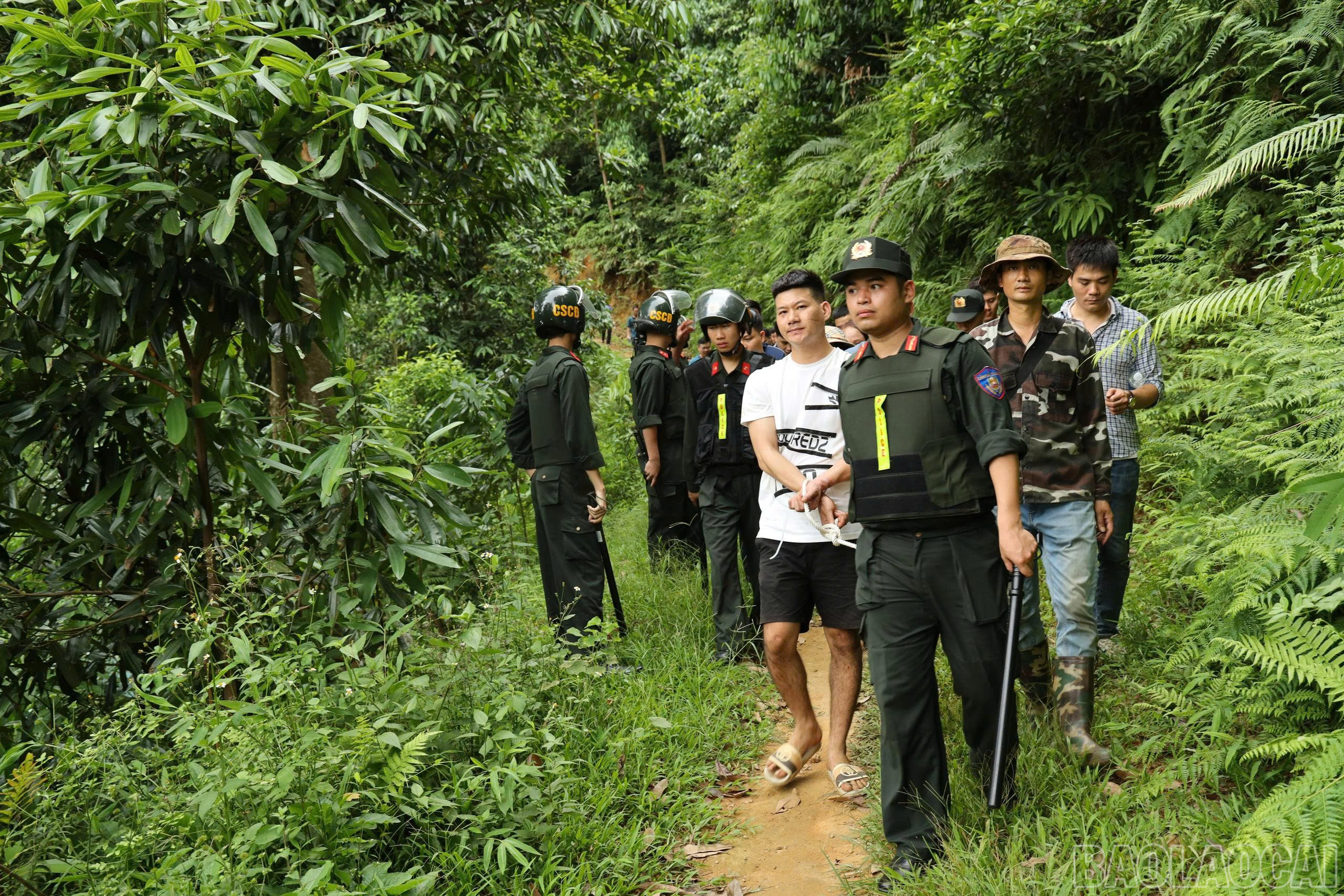 Công an Lào Cai triệt xóa 'ổ nhóm' đánh bạc trên đồi quế thuộc địa bàn Huyện Bảo Thắng 2 Lực lượng chức năng di lý các đối tượng về trụ sở công an. (Ảnh Báo Lào Cai)