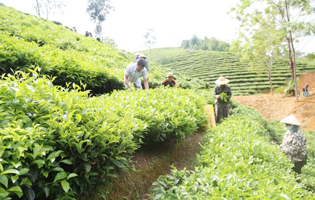 Muong Khuong la dia phuong co dien tich che lon nhat tinh Lao Cai