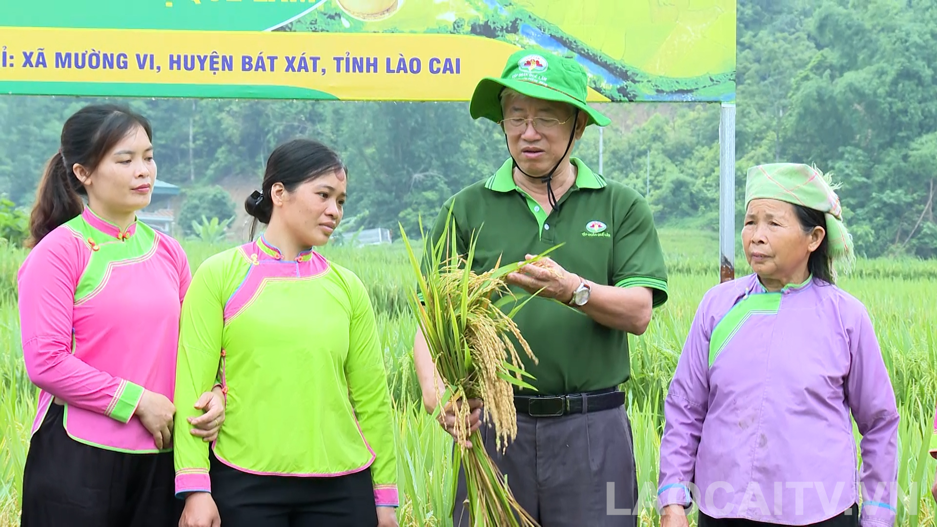 Nông dân Mường Vi phát triển mô hình lúa Séng cù hữu cơ, hướng đến nông nghiệp bền vững 3 Người dân Mường Vi mong muốn tiếp tục được tham gia mô hình để đảm bảo đầu ra và nâng cao giá trị thu nhập. (Ảnh THLC)