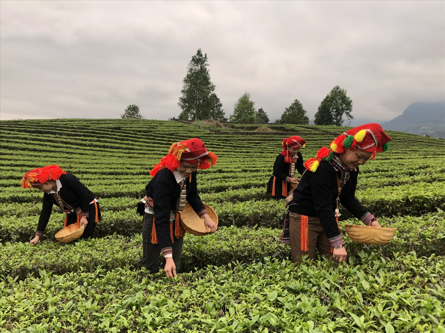 Tỷ lệ giảm nghèo trong đồng bào DTTS ở Lào Cai giai đoạn 2021 - 2025 bình quân đạt 6,63%/năm 2 Nguồn lực từ các Chương trình MTQG góp phần đa dạng hóa các mô hình sinh kế góp phần nâng cao thu nhập cho người dân