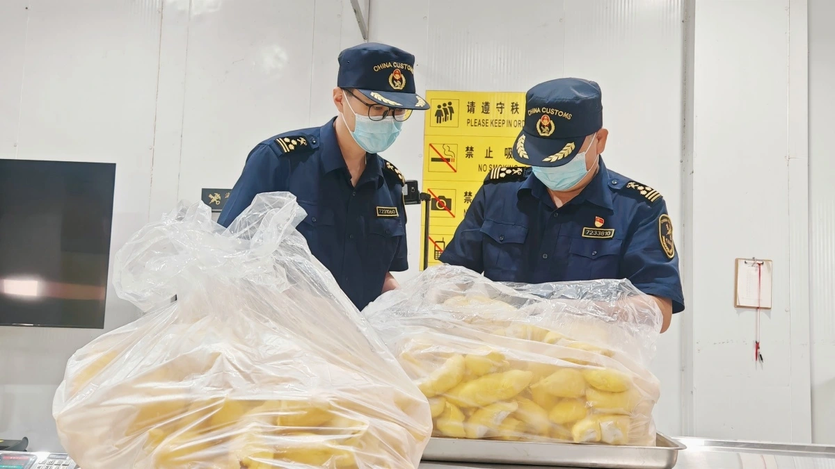 Việt Nam lần đầu xuất khẩu sầu riêng đông lạnh sang Trung Quốc qua Cửa khẩu cầu Bắc Luân II 1 Nhân viên hải quan Trung Quốc kiểm tra hàng sẩu riêng đông lạnh.