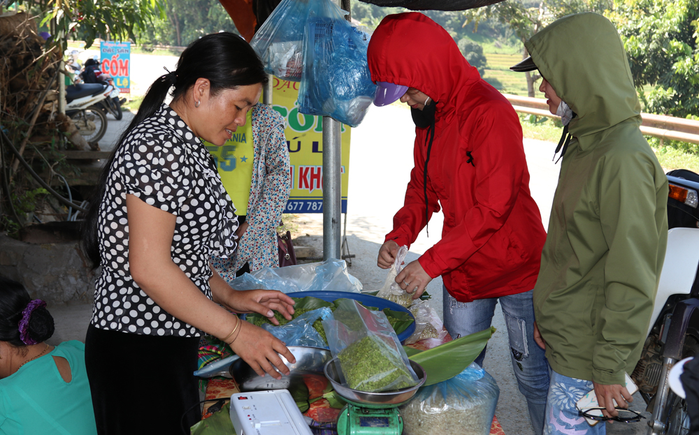 Mù Cang Chải đẩy mạnh phát triển vùng chuyên canh nếp Tan, nâng tầm sản phẩm đặc sản thành hàng hóa 1 Nhiều diện tích nếp Tan ở Cao Phạ được tiểu thương thu mua non về làm cốm mang lại giá trị cao (ảnh báo Yên Bái )