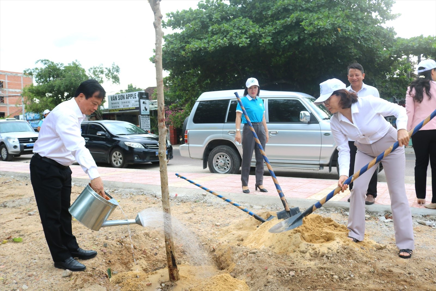 Bình Định: Phát động Tháng cao điểm hành động vì môi trường và hưởng ứng Ngày Môi trường thế giới năm 2025 5 Phó Chủ tịch Thường trực UBND tỉnh Bình Định Nguyễn Tuấn Thanh trồng cây xanh tại thị trấn Vân Canh