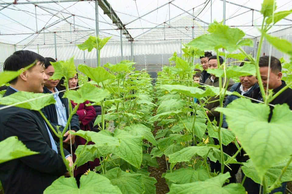 Nông dân Yên Bái chủ động chuyển đổi cây trồng, hướng tới nền nông nghiệp xanh bền vững 1 Sự thay đổi tích cực từ mỗi người nông dân chính là nền tảng quan trọng để Yên Bái tiếp tục phát triển nông nghiệp xanh, bền vững (ảnh CTTĐT tỉnh Yên Bái)