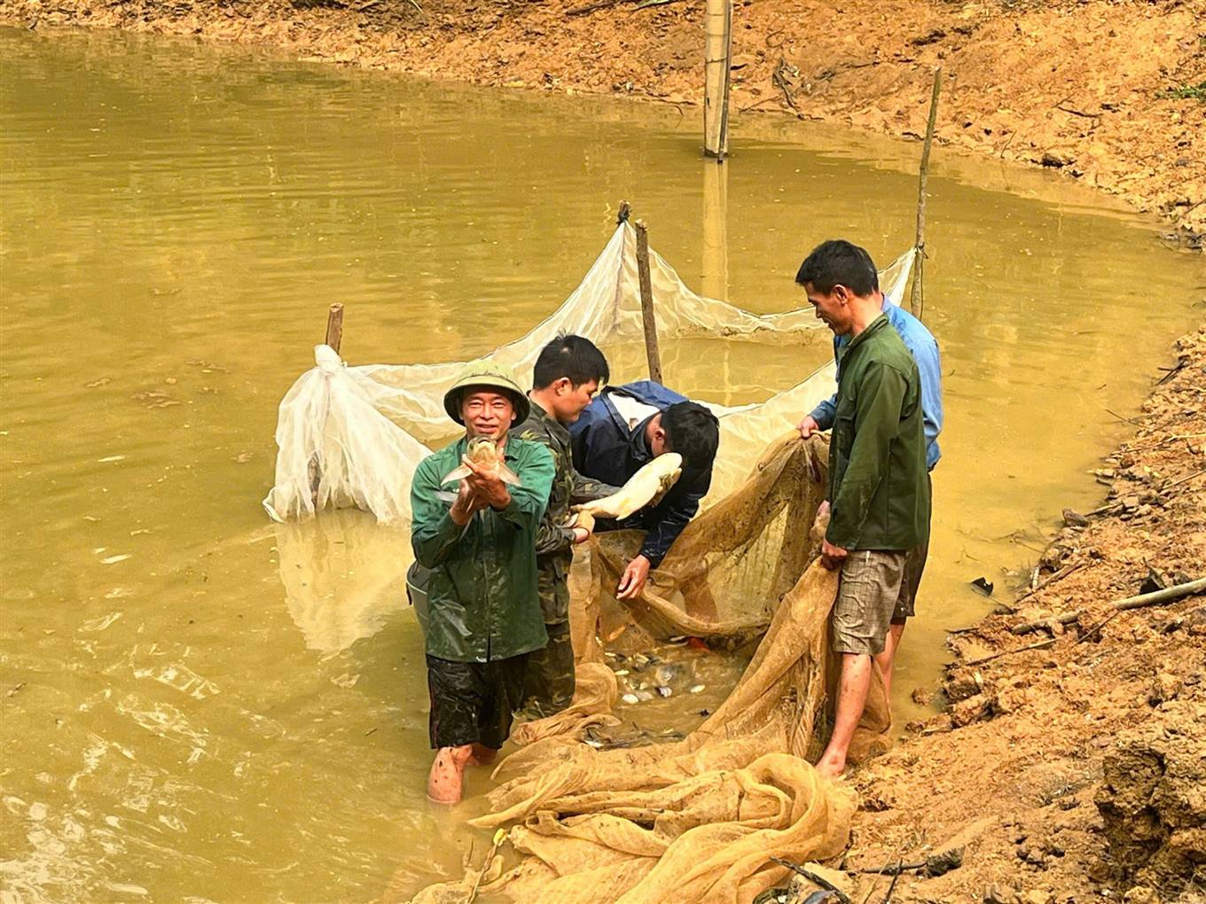 Thủy sản cũng là một mũi nhọn phát triển kinh tế tại Bảo Thắng. Chăn nuôi lợn với quy mô lớn trang trại, gia trại. (Ảnh Trang TTĐT Huyện Bảo Thắng)