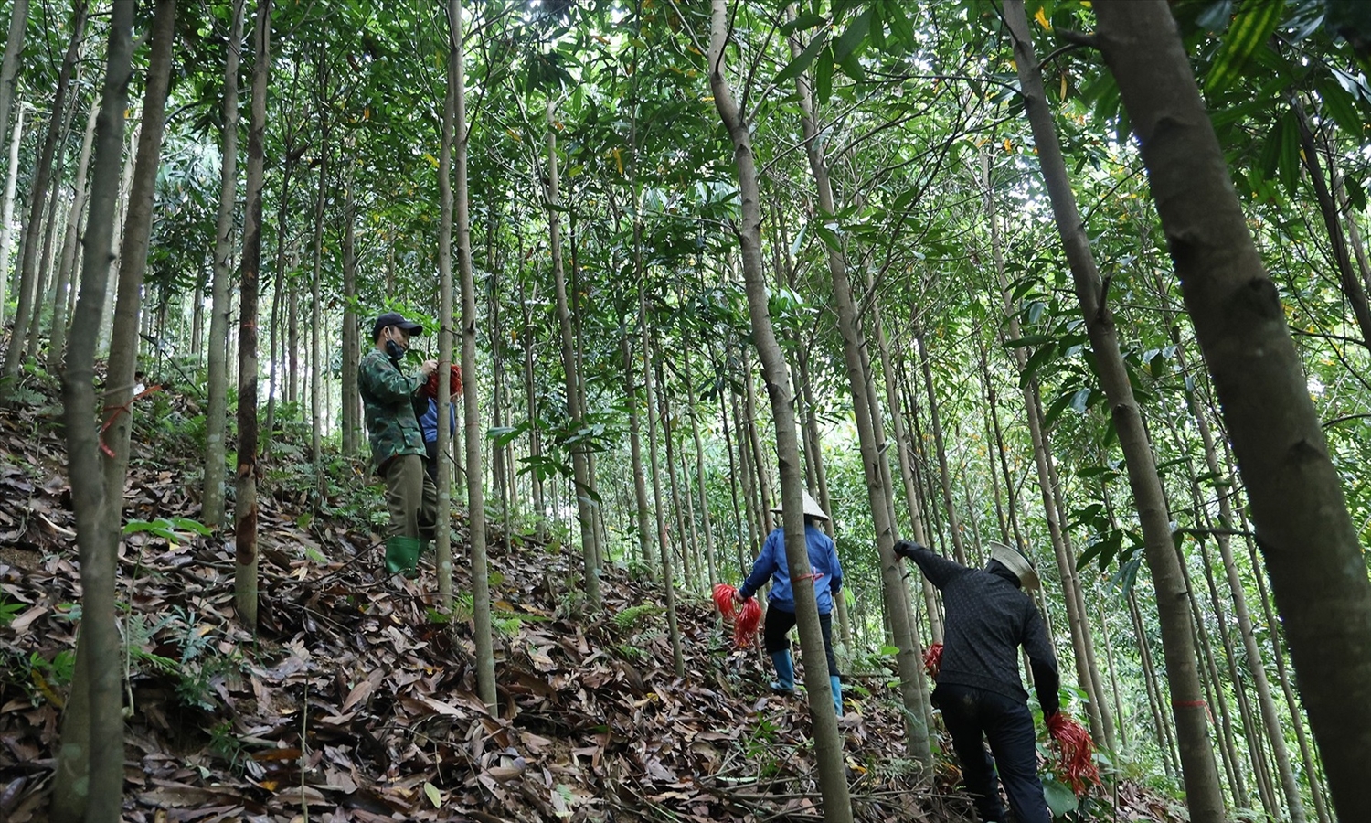 Quyết tâm hoàn thành giải phóng mặt bằng tuyến đường sắt Lào Cai - Hà Nội - Hải Phòng 1 Vượt nắng, thắng mưa khẩn trương kiểm đếm, đo đạc phục vụ công tác giải phóng mặt bằng