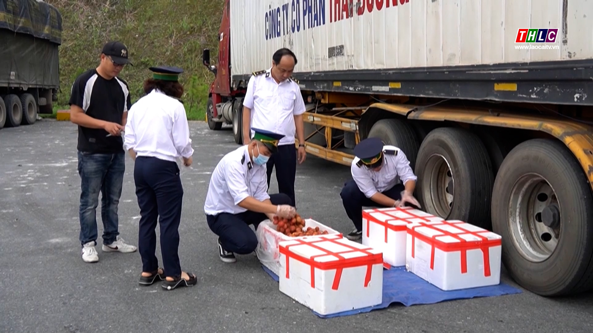 Hơn 31.500 tấn vải thiều đã được thông quan qua Cửa khẩu Lào Cai, kim ngạch đạt gần 18,8 triệu USD 1 Xuất khẩu vải tươi sang Trung Quốc đạt gần 1.500 tấn mỗi ngày (ảnh THLC)