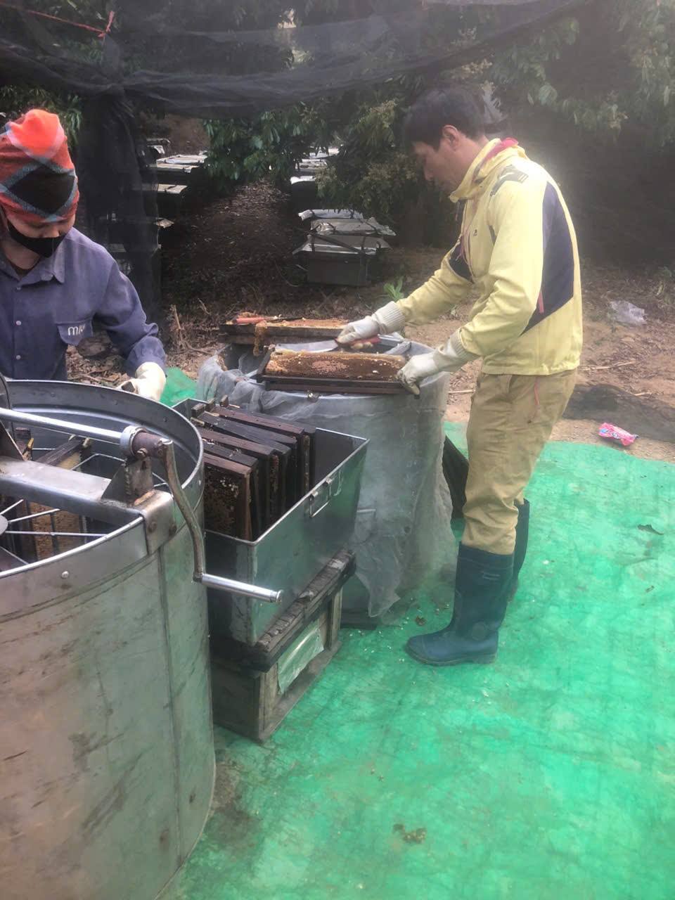 Nuôi ong mật trên núi đá, nông dân xã Xuân Quang thu hàng trăm triệu đồng mỗi năm 2 Thu hàng chục tấn mật ong mỗi năm từ núi đá (ảnh TTTĐT huyện Bảo Thắng )