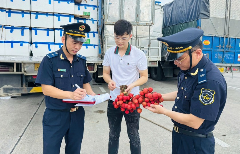 Lào Cai tăng cường kiểm soát buôn lậu và gian lận thương mại tại cửa khẩu quốc tế 6 Tại Cửa khẩu Quốc tế đường bộ số II Kim Thành (Cửa khẩu Kim Thành), mỗi ngày có khoảng 350 - 450 xe ô tô xuất - nhập khẩu hàng hóa qua biên giới, chủ yếu là hàng nông sản (ảnh Nguyễn Hải )