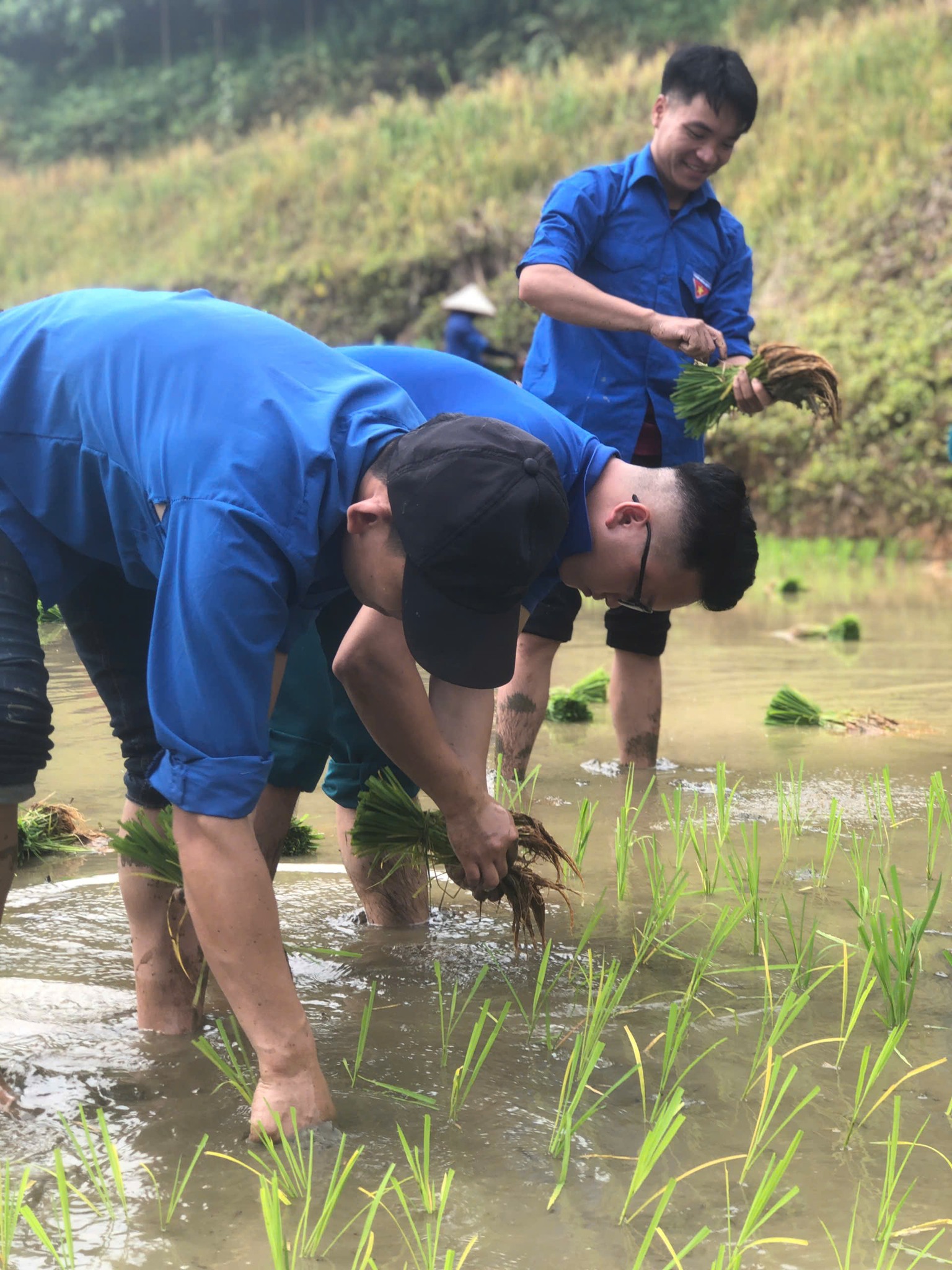Ấm lòng hậu phương: Đoàn Thanh niên và dân quân Võ Lao “xắn tay áo” giúp tân binh lo mùa vụ 2 Đoàn Thanh niên và dân quân Võ Lao xắn tay áo giúp tân binh lo mùa vụ (ảnh Tuổi Trẻ Xã Võ Lao Tỉnh Lào Cai )