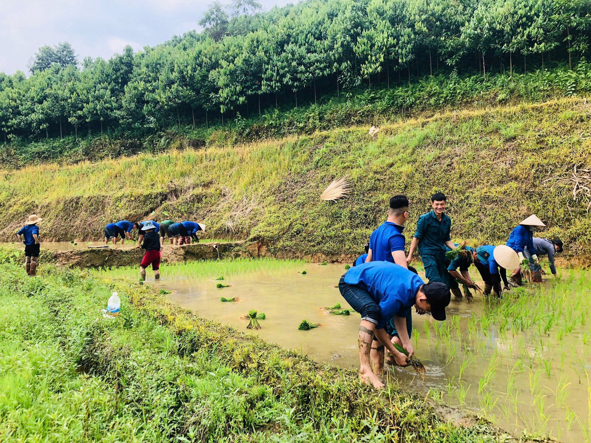 Ấm lòng hậu phương: Đoàn Thanh niên và dân quân Võ Lao “xắn tay áo” giúp tân binh lo mùa vụ 5 Phát huy vai trò xung kích của thanh niên ( ảnh Tuổi Trẻ Xã Võ Lao Tỉnh Lào Cai )