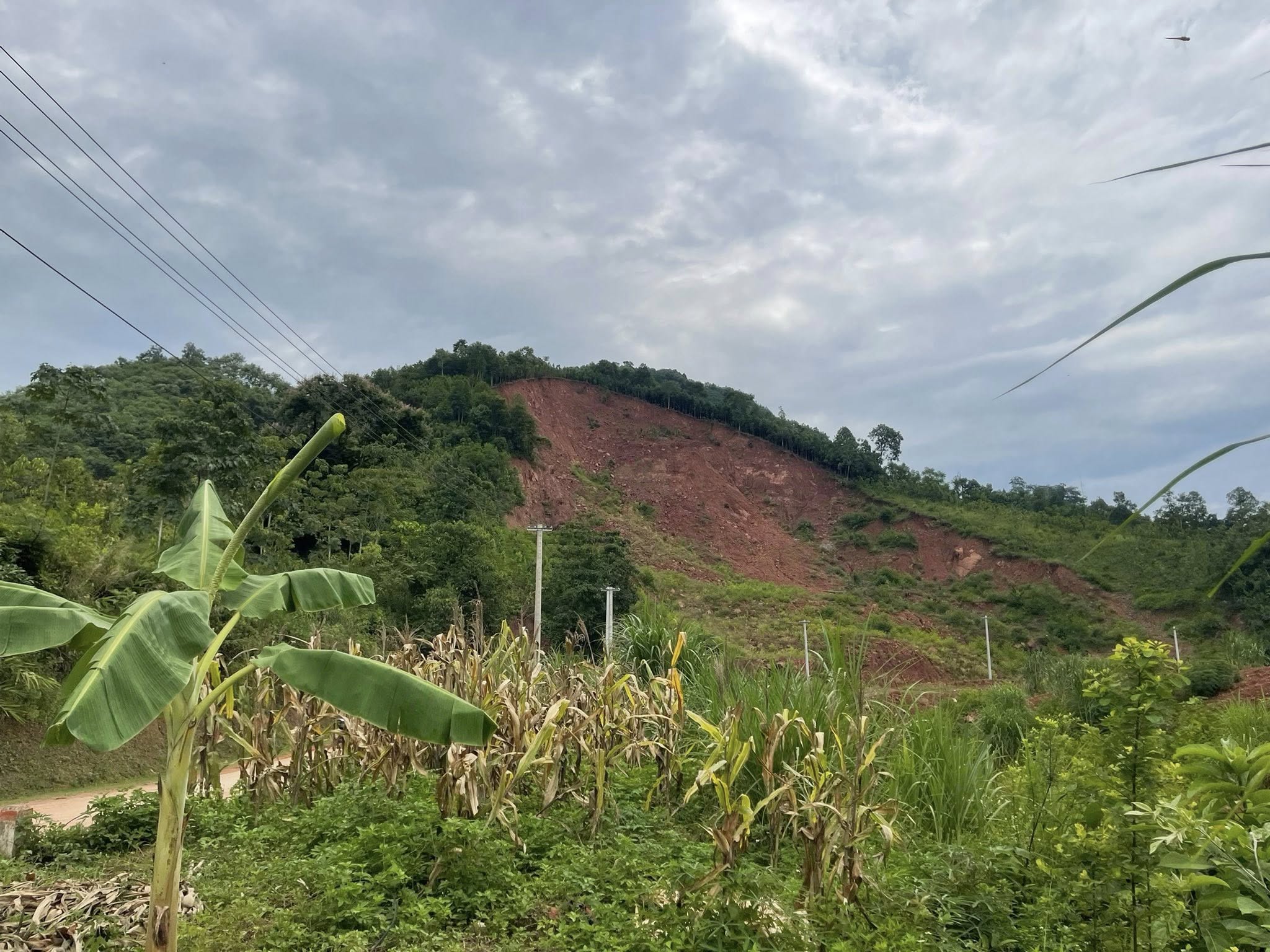 520542877 1301102195355470 5081615828469595091 n