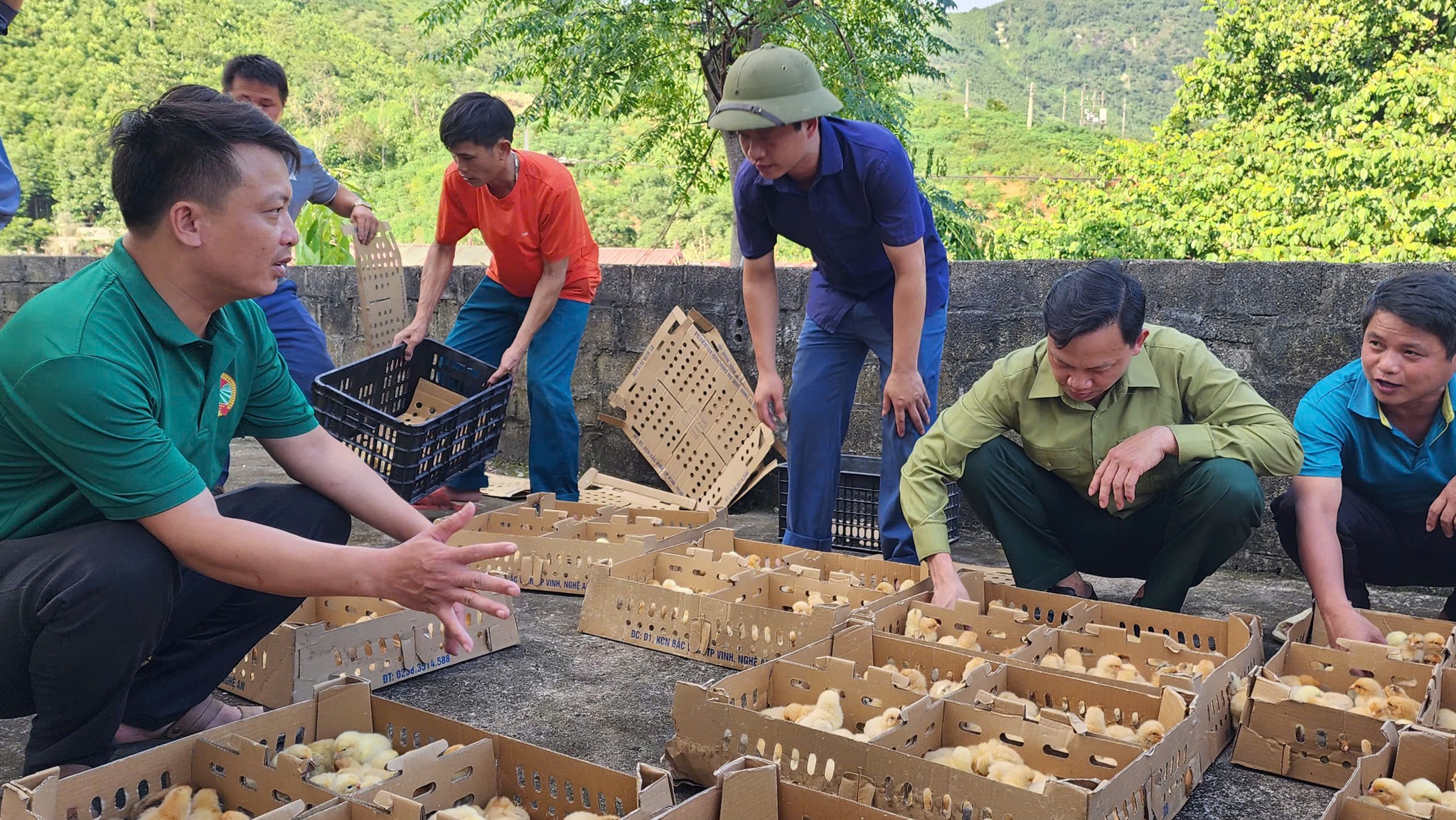 Việc trao tặng gà giống không chỉ mang giá trị vật chất mà còn tạo động lực cho bà con nông dân chủ động làm kinh tế (ảnh truyền hình Bảo Yên )