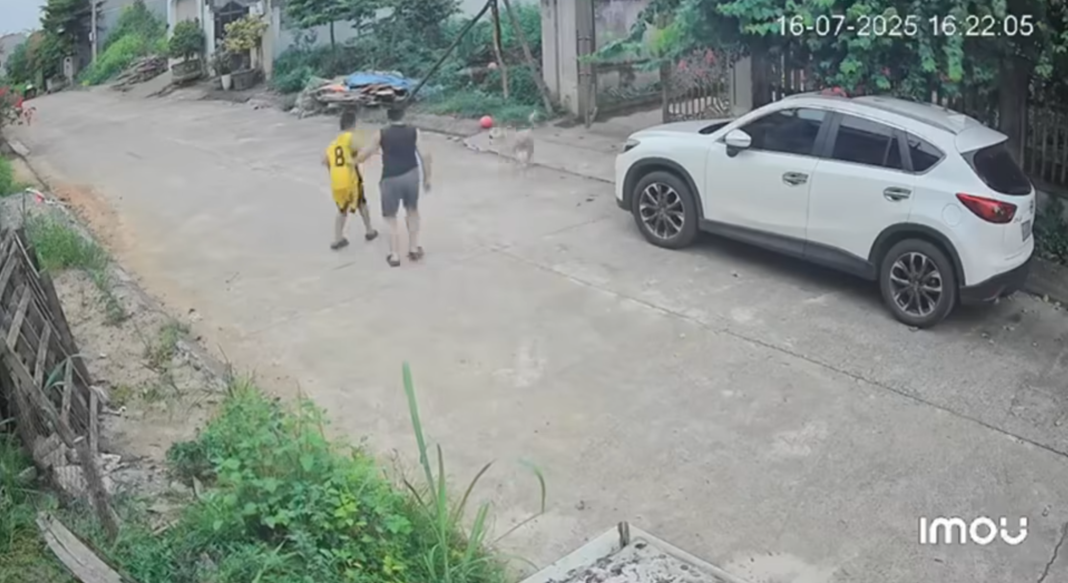 Chú chó lao vào tấn công cháu bé khi cháu đang đi bộ trên đường. Cháu bé hoảng sợ cố gắng tránh né, trong khi chú chó hung dữ chạy nhanh về phía cháu.
