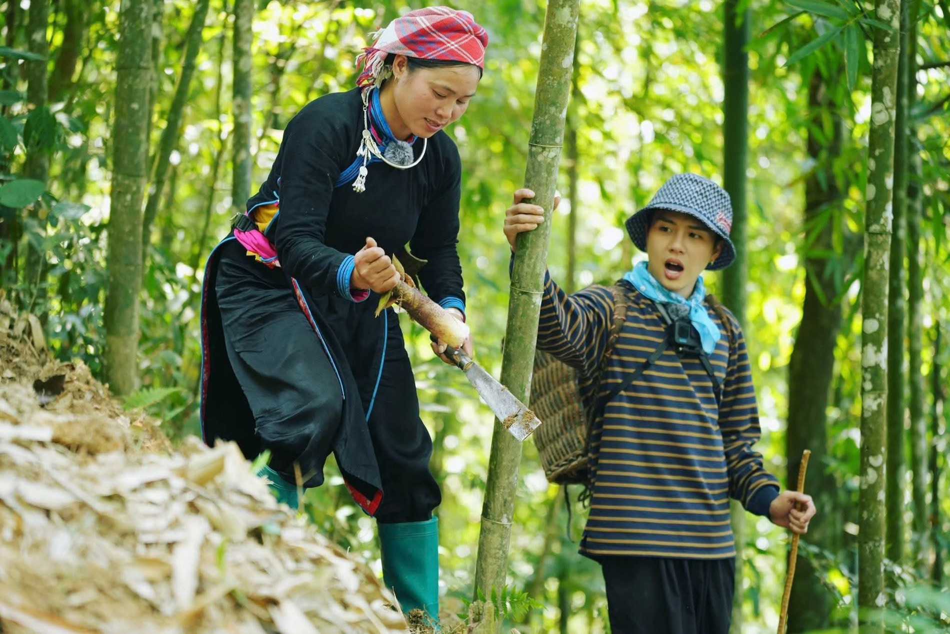 Bản Liền Lào Cai 'gây sốt', homestay kín phòng sau khi lên sóng TV 4 Chị Thông hướng dẫn du khách đào măng rừng.