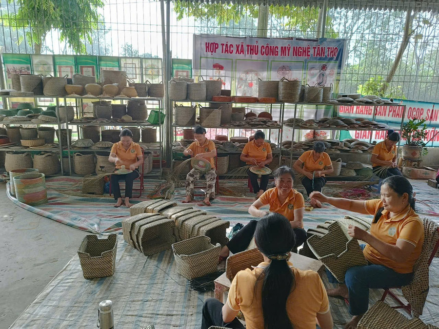 Hợp tác xã Tân Thọ tạo việc làm cho hơn 500 lao động địa phương.