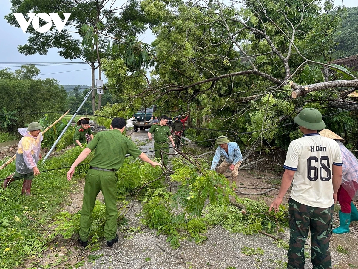 Tăng cường cập nhật kỹ năng ứng phó thiên tai cho người dân vùng có nguy cơ cao tại Lào Cai. 2 Lực lượng chức năng xã Lâm Thượng dọn dẹp cây cối đổ xuống đường do ảnh hưởng của mưa bão. (Ảnh Thừa Xuân)