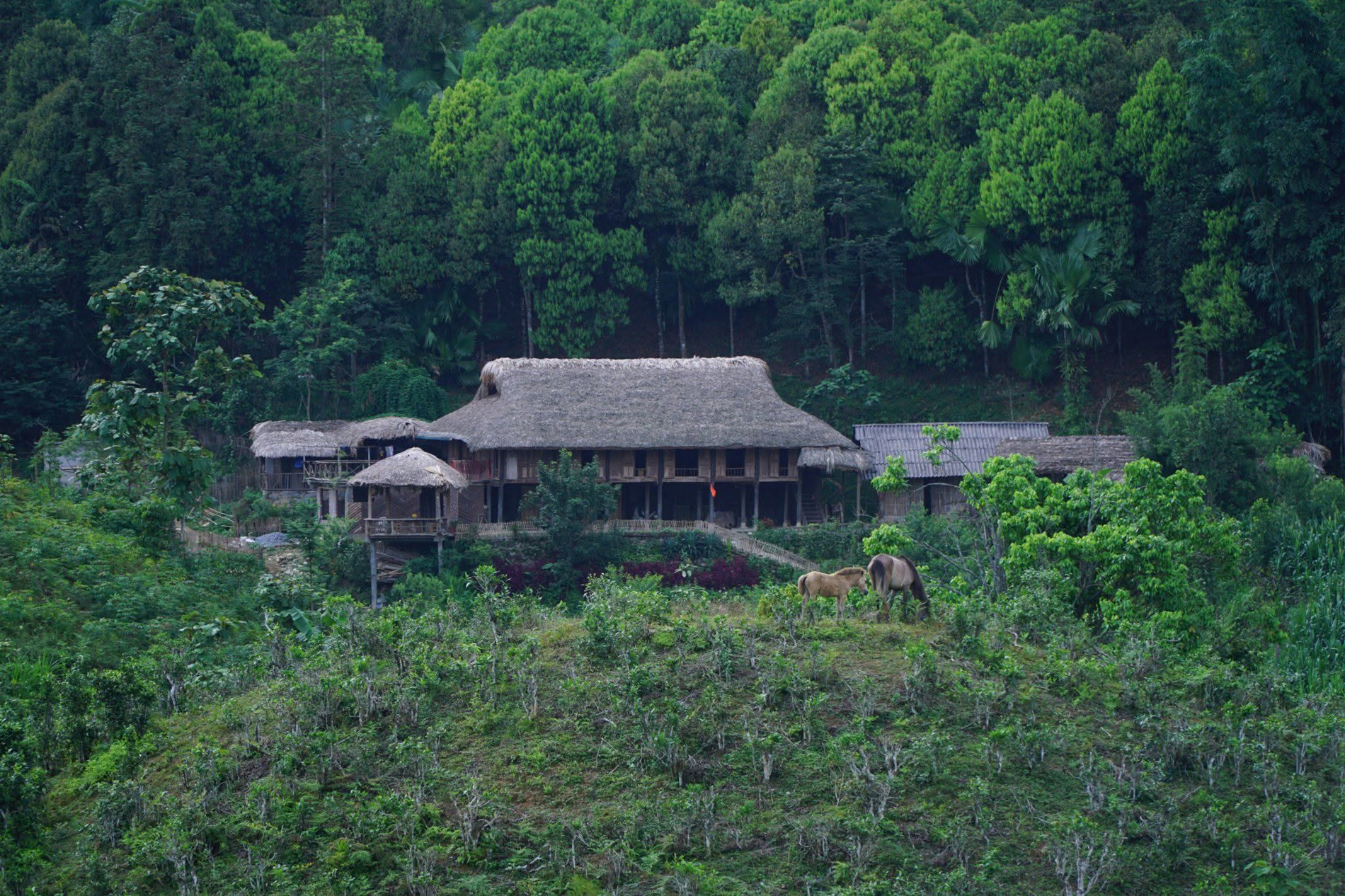 Bản Liền Lào Cai 'gây sốt', homestay kín phòng sau khi lên sóng TV 5 Một homestay khác ở Bản Liền.