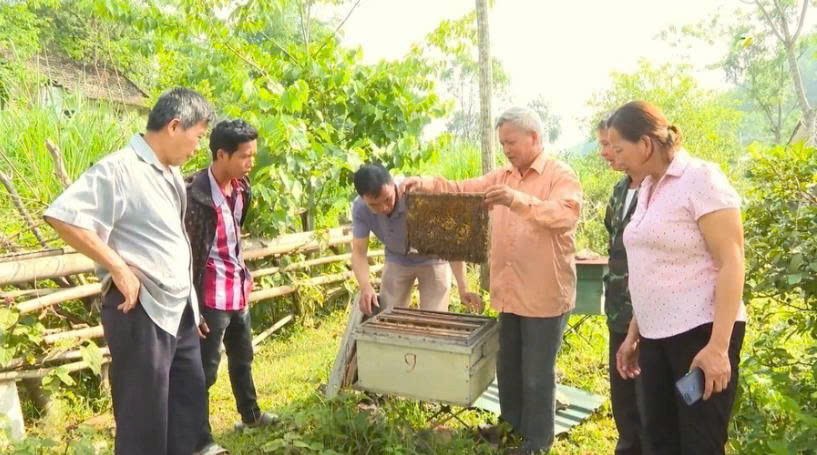 Nguoi dan phuong Thuc Phan tinh Cao Bang phat trien kinh te nuoi ong lay mat de giam ngheo ben vung. 3545656