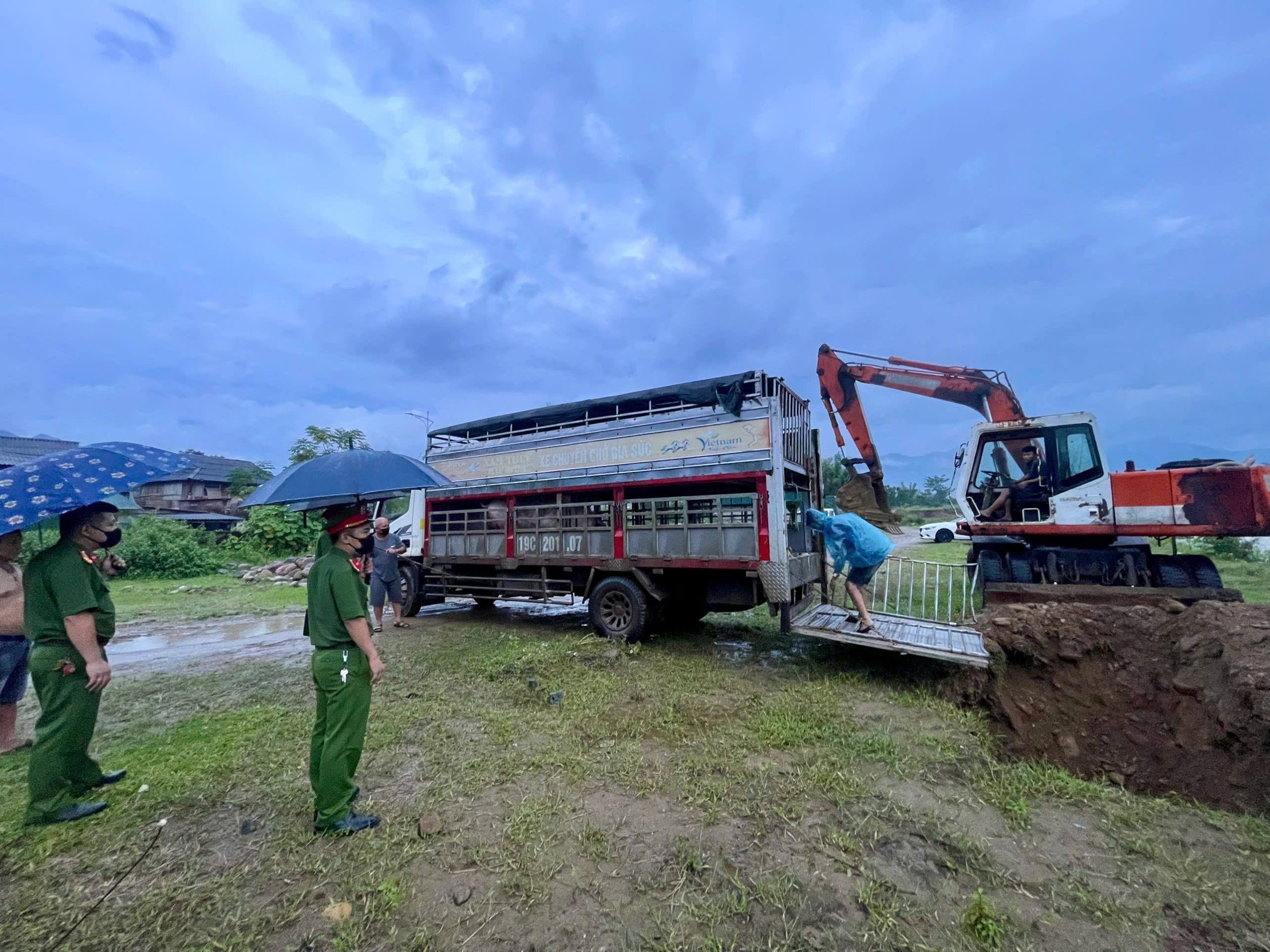 Công an phường Trung Tâm kịp thời ngăn chặn hành vi tuồn 05 con lợn nhiễm bệnh ra thị trường 3 Toàn bộ số lợn nhiễm bệnh bị tiêu hủy theo đúng quy trình