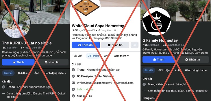 Các fanpage mà Hằng và Thu sử dụng để lừa đảo chiếm đoạt tiền - Ảnh: THANH TUẤN