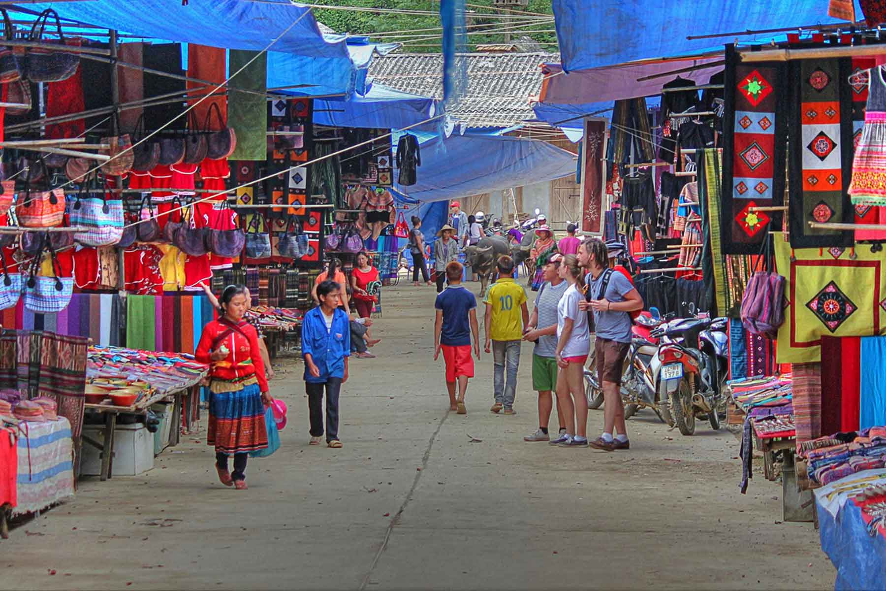Mở rộng thị trường tiêu thụ nông sản vùng cao bằng chiến lược đồng bộ và bền vững ở Lào Cai 1 Mở rộng thị trường tiêu thụ nông sản vùng cao.