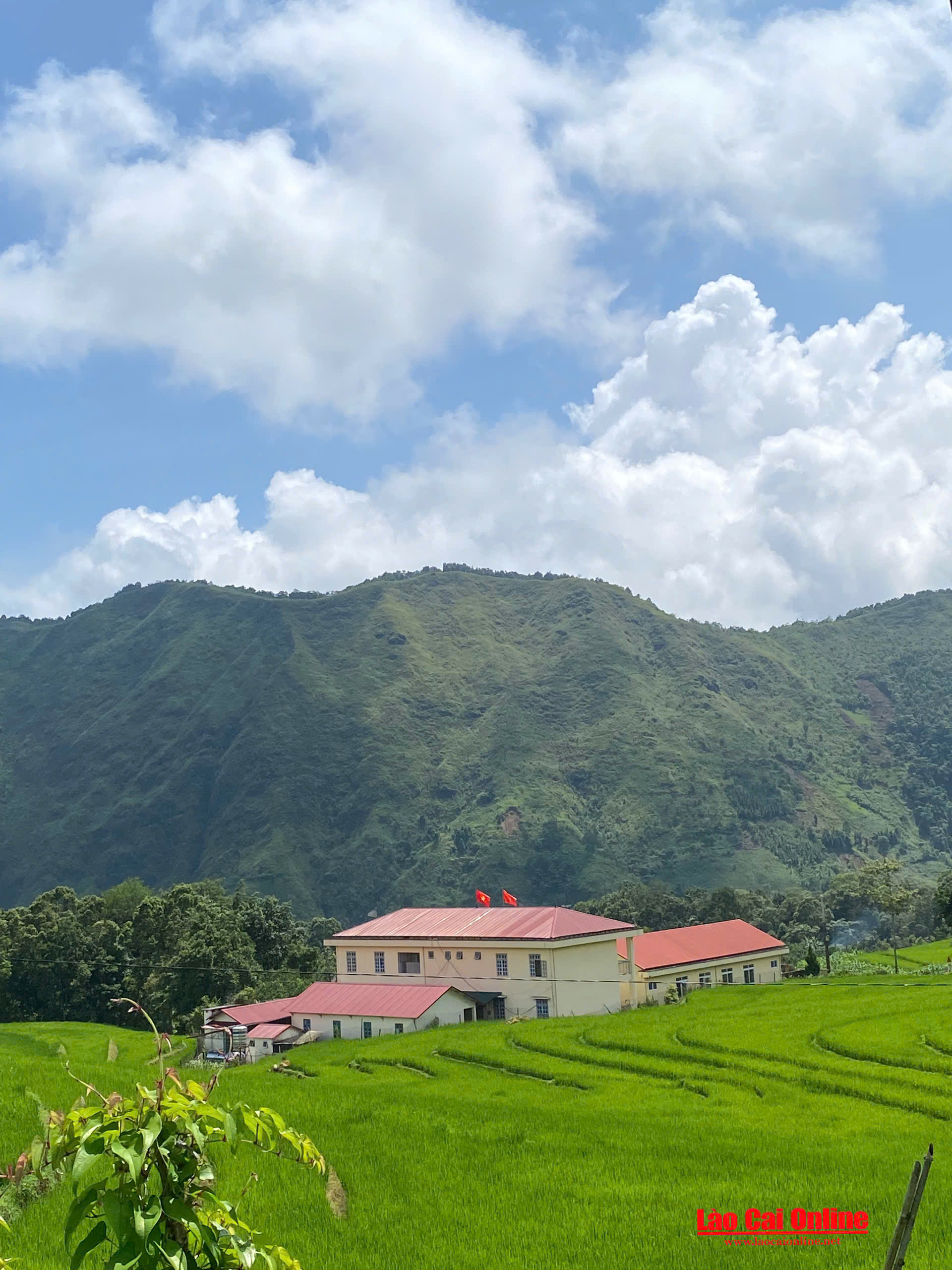 Nét đẹp mùa lúa xanh giữa lúa rừng Tây Bắc