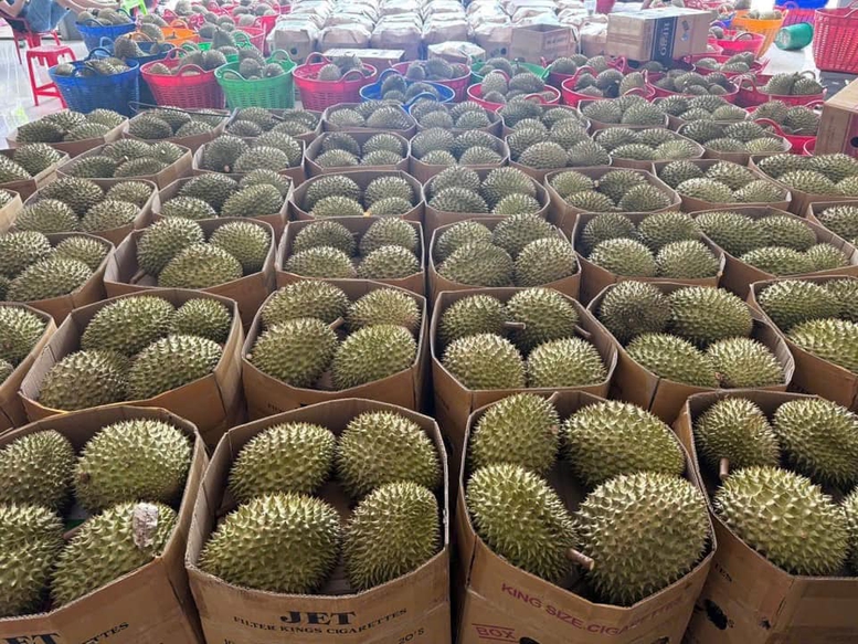 Sầu riêng phải bảo quản, vận chuyển theo đúng quy định, được phân loại, đóng gói và ghi nhãn tại cơ sở đóng gói đáp ứng tiêu chuẩn - Ảnh: VGP/Đỗ Hương