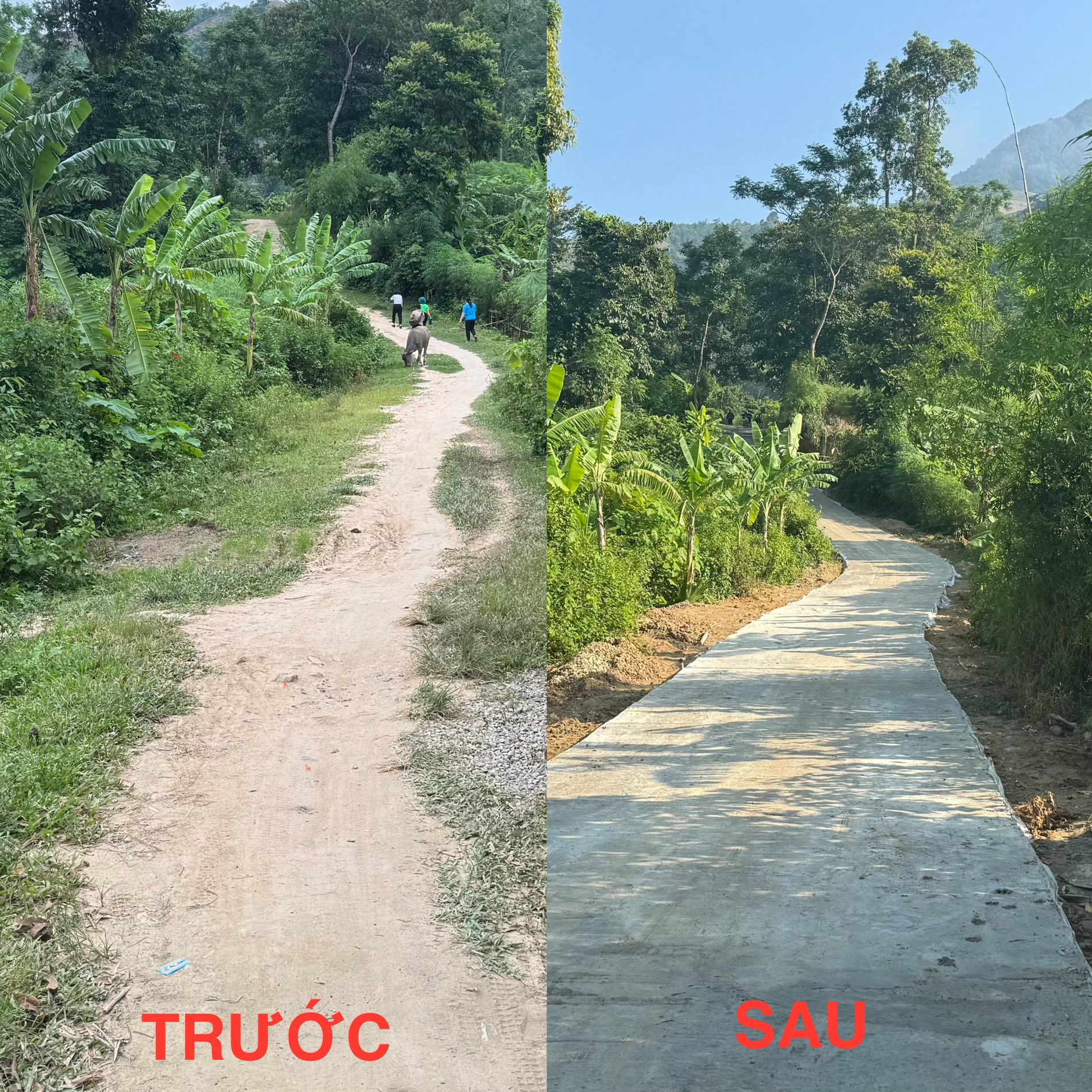 Con đường trước và sau khi mở rộng đường.
