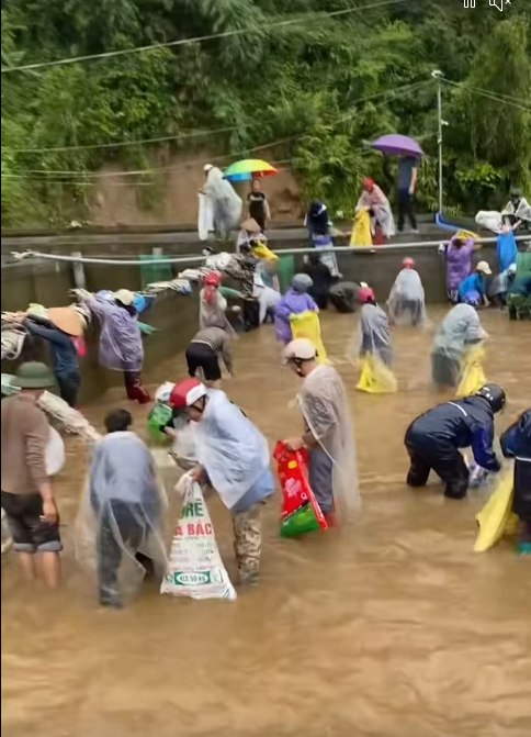 Chủ trang trại cá tầm Lào Cai lên tiếng sau clip người dân kéo đến bắt cá 4 Người dân thi nhau bắt cá tại trang tại . Ảnh cắt từ clip
