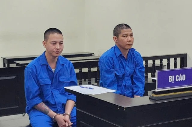 Các bị cáo lừa chiếm đoạt ô tô rồi dùng biển số, giấy tờ giả mỗi khi đi đường.
