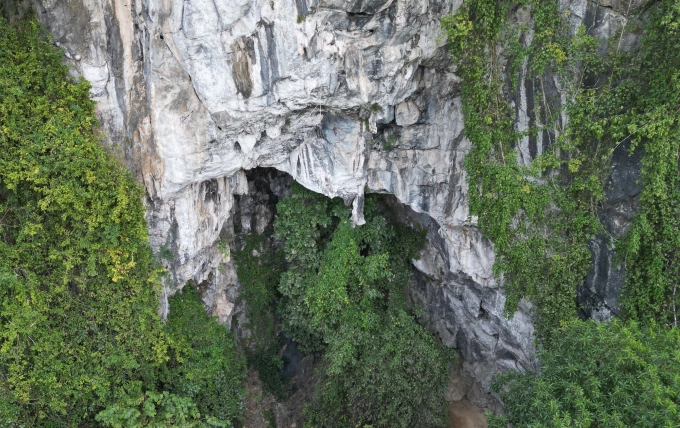 Tìm thấy thi thể nam du khách mất tích ở Vườn quốc gia Cúc Phương. Ảnh minh họa