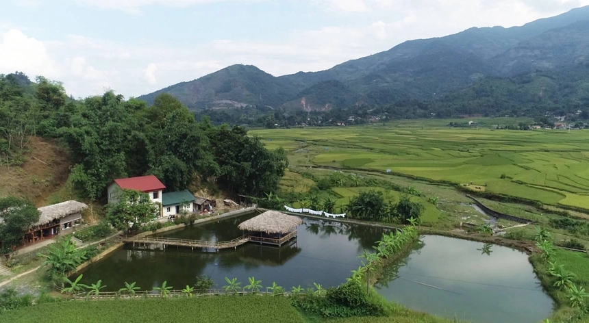 Nhiều mô hình phát triển kinh tế mới ở nông thôn Lào Cai phát huy hiệu quả kinh tế cao. (Ảnh Phụ Nữ Việt Nam)