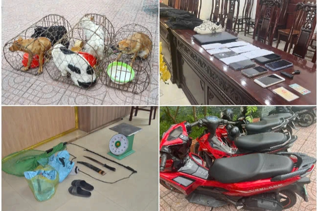 Nghệ An: Triệt phá ổ nhóm trộm chó quy mô lớn, thu giữ hơn 2 tấn tang vật 1 Tang vật được thu giữ (Ảnh: Văn Hậu).