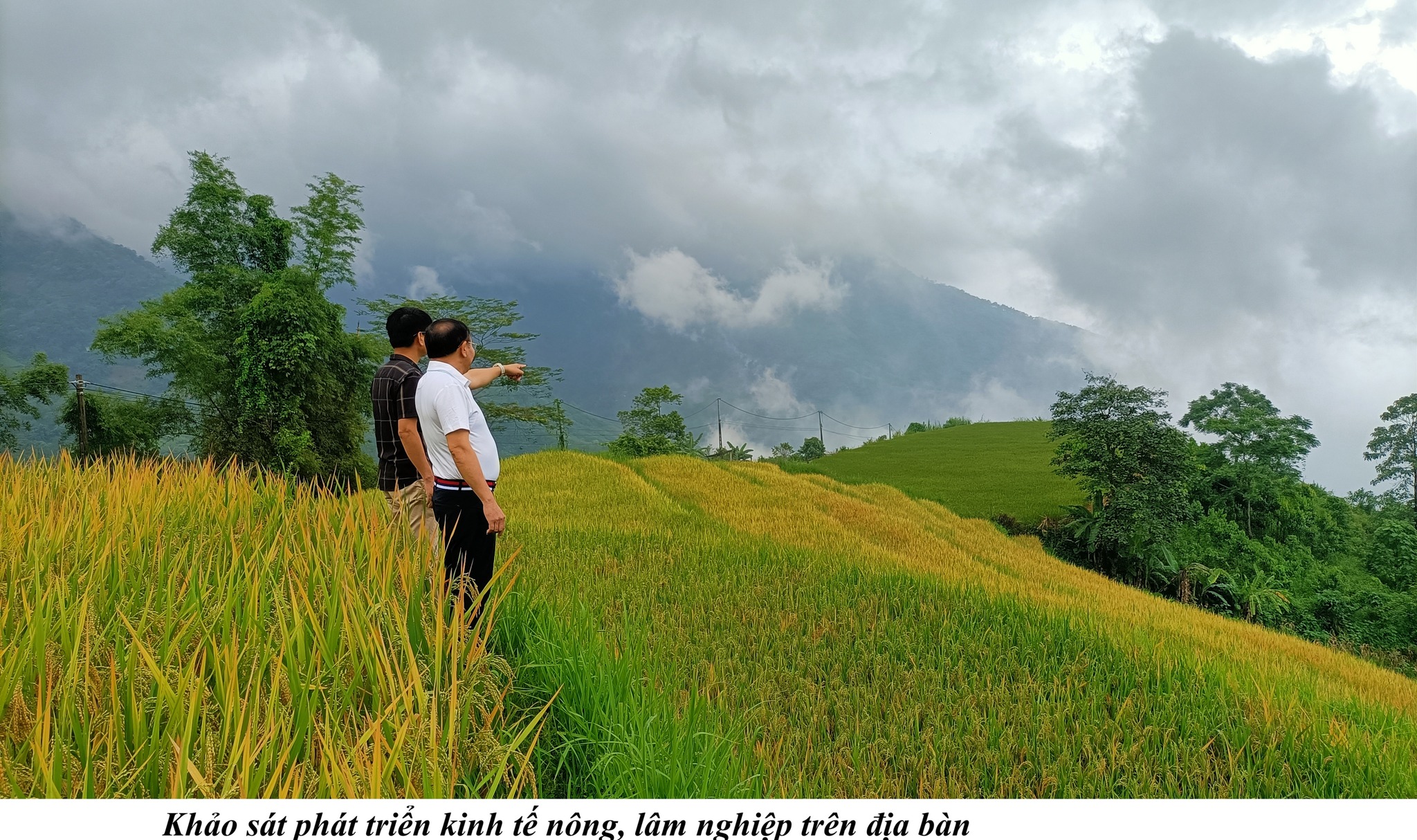 Khảo sát phát triển kinh tế nông, lâm nghiệp trên địa bàn. (Ảnh truyền thông khu vực Bát Xát)