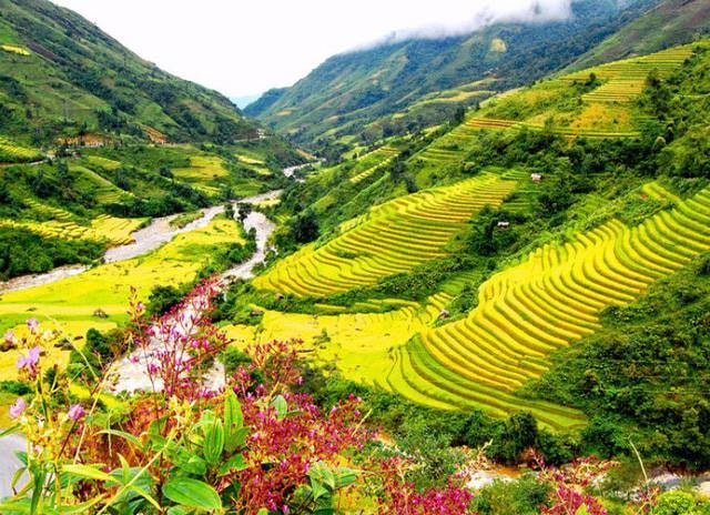 Khai mạc Lễ hội mùa Thu Sa Pa 2025 lúc 20h ngày 10/8 1 Lễ hội mùa thu sapa