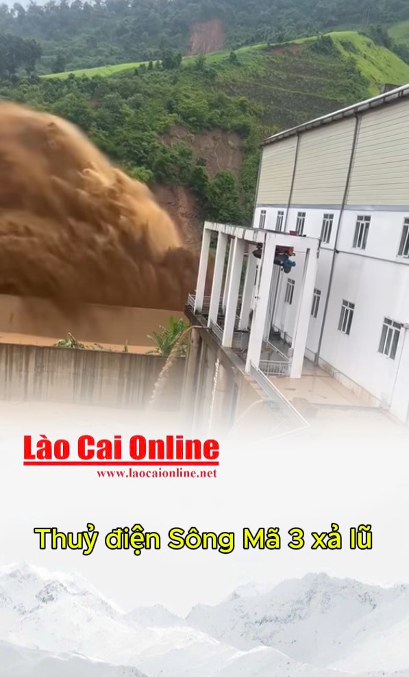 gr44g4erherh