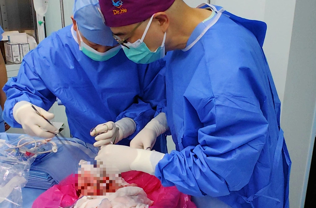Các bác sĩ tại Trung Quốc vừa thực hiện thành công ca cấy ghép phổi từ lợn biến đổi gen vào một bệnh nhân chết não 39 tuổi (Ảnh: Nature Medicine).