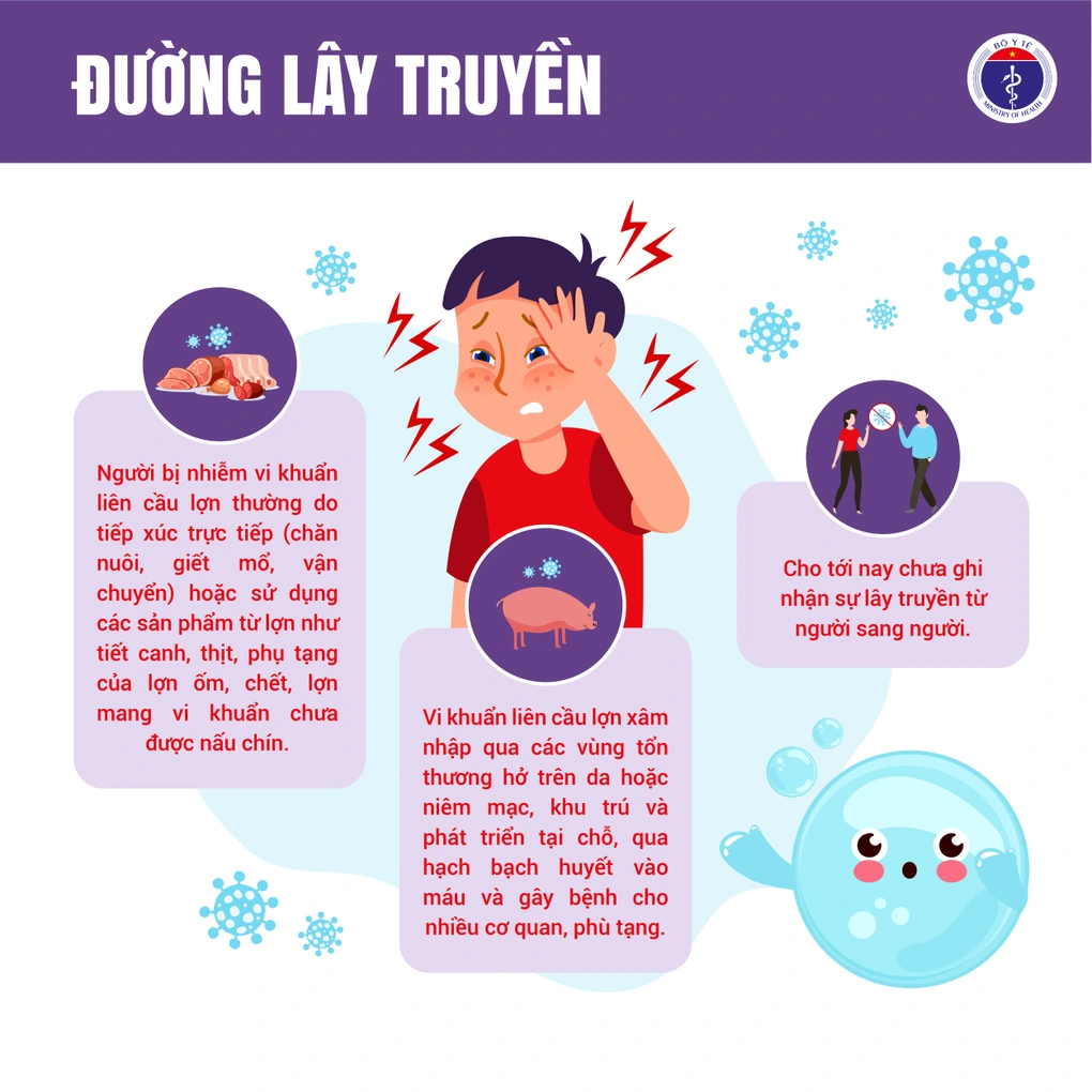 lien cau lon 3jpg 1756440000390