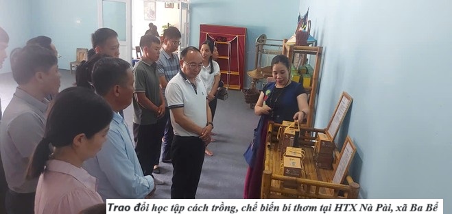 Trao đổi học tập cách trồng, chế biến bí thơm tại HTX Nà Pài, xã Ba Bể. (Ảnh truyền thông khu vực Bát Xát)