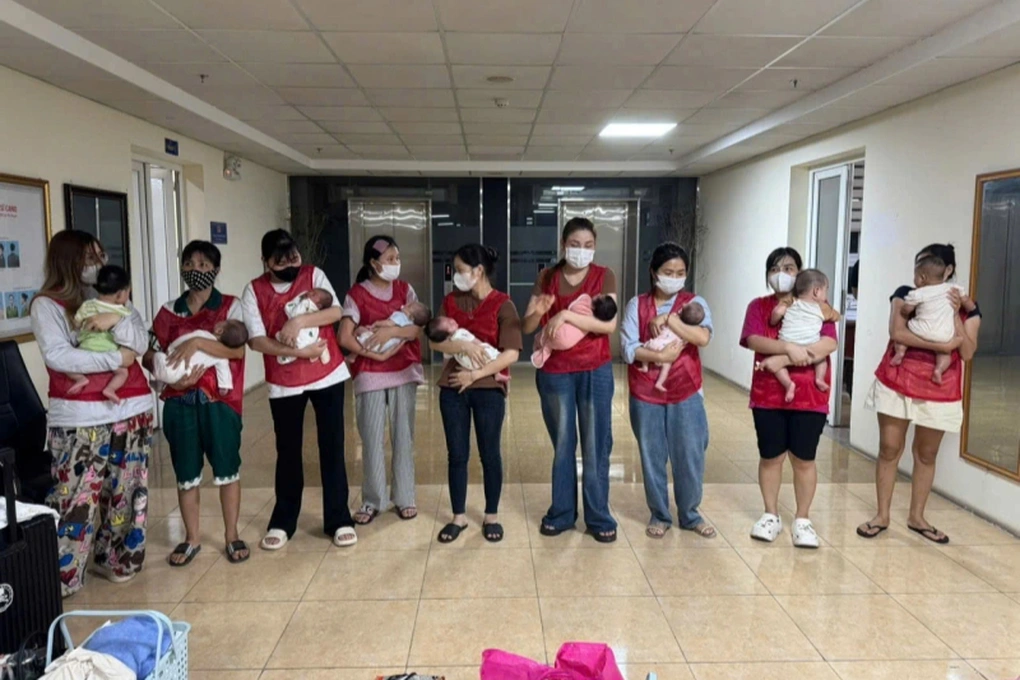 Triệt phá đường dây mang thai hộ xuyên quốc gia, giá mỗi ca lên tới 400 triệu đồng 2 Các cháu bé được giải cứu