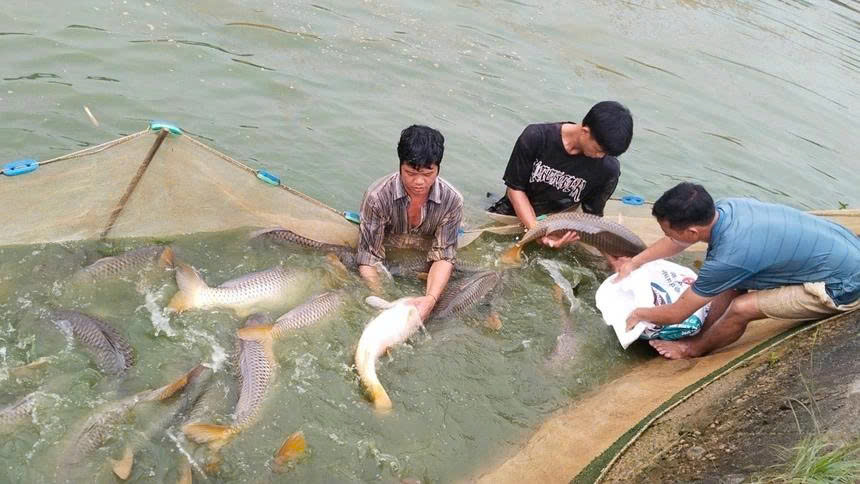 Lào Cai thành lập Quỹ Hỗ trợ nông dân, tạo động lực phát triển kinh tế nông thôn 2 Mô hình nuôi trồng thủy sản của nông dân Lào Cai. (Ảnh Phụ Nữ Việt Nam)