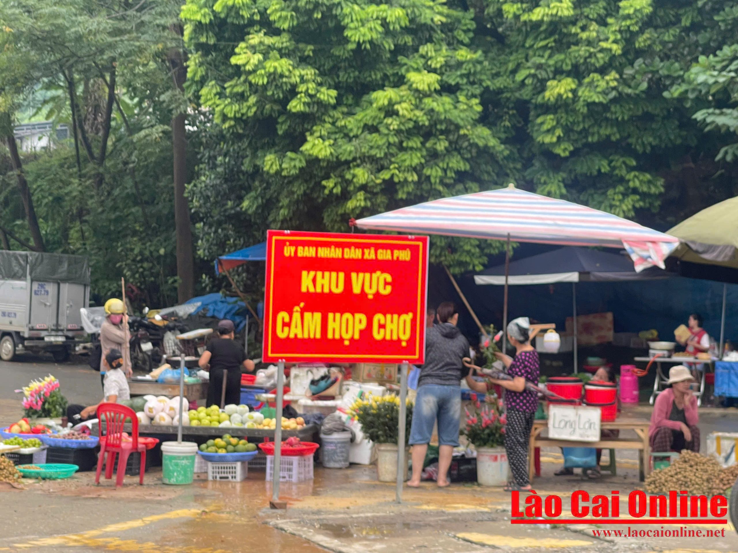 Biển cấm vừa dựng, chợ tự phát ở Gia Phú vẫn nhộn nhịp 3 Người dân vô tư bày bán hàng hóa ngay dưới tấm biển cấm họp chợ, tạo nên cảnh tượng đối lập giữa quy định và thực tế. Ảnh Ngọc Anh