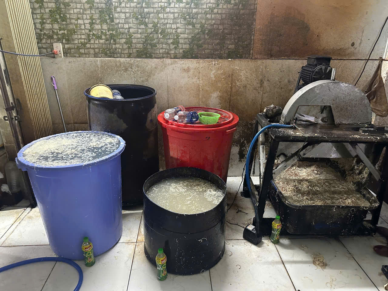 Cơ sở của bà M. sử dụng hóa chất để sơ chế hoa chuối