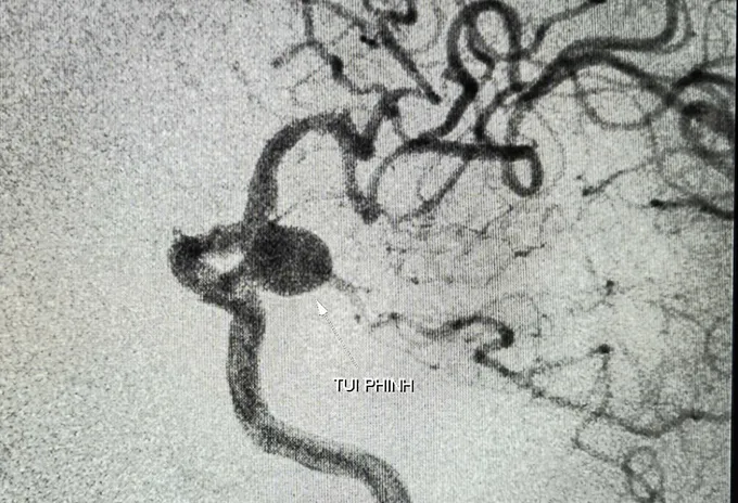 18441d2bda05515b0814 5955 7392.jpg