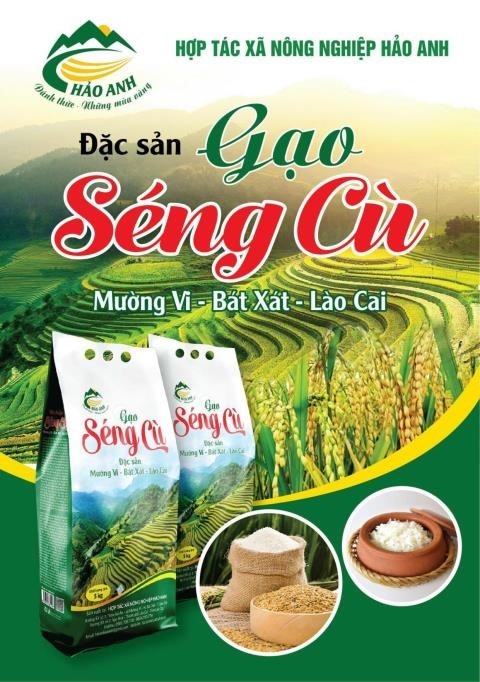 Sản phẩm OCOP Bát Xát: Hương vị quê nhà giữa đại ngàn Tây Bắc 5 Gạo Séng Cù Mường Vi khá nổi tiếng, cơm dẻo, vị ngọt thanh của gạo, đậm đà dư vị núi rừng.