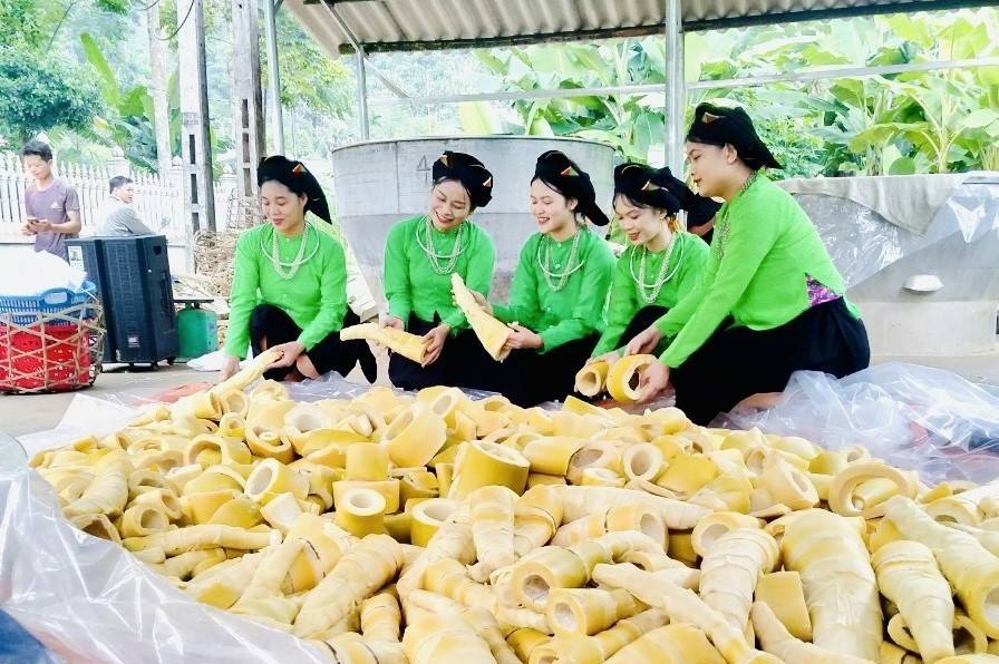 Lào Cai: Nhiều giải pháp phát triển làng nghề gắn với du lịch 3 Làng nghề chế biến và bảo quản măng mai thôn Khéo Lẹng, xã Lâm Thượng