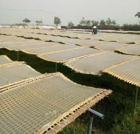 Sản phẩm OCOP Bát Xát: Hương vị quê nhà giữa đại ngàn Tây Bắc 6 Phơi bánh tráng làm miến sâm Hưng Hiền, sản phẩm OCOP đạt chất lượng 3 sao.